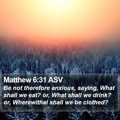 Matthew 6:31 ASV Bible Verse Image
