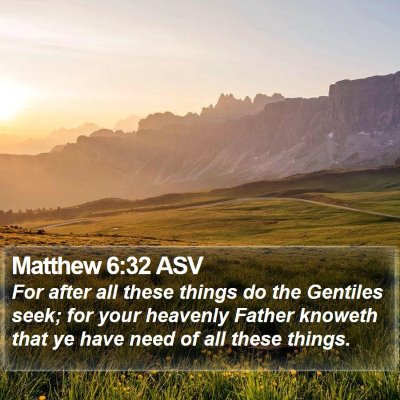 Matthew 6:32 ASV Bible Verse Image