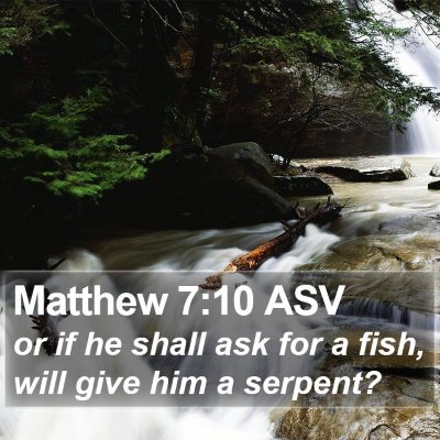 Matthew 7:10 ASV Bible Verse Image