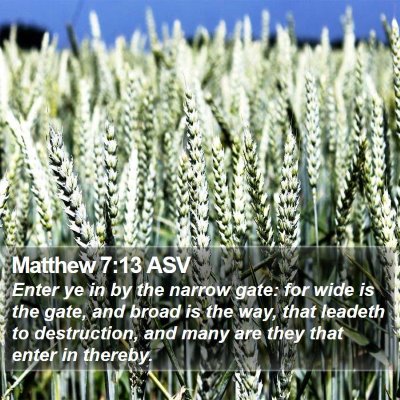 Matthew 7:13 ASV Bible Verse Image