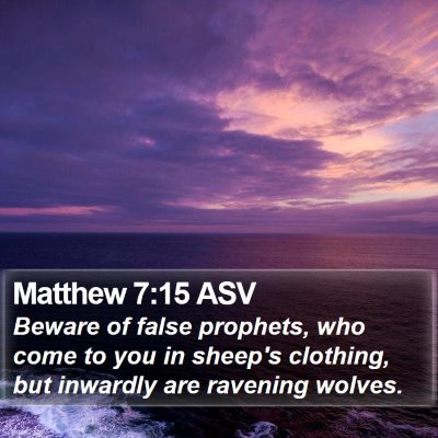 Matthew 7:15 ASV Bible Verse Image