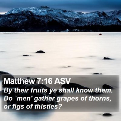Matthew 7:16 ASV Bible Verse Image