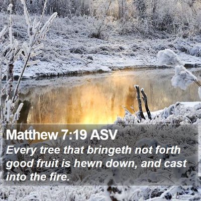 Matthew 7:19 ASV Bible Verse Image