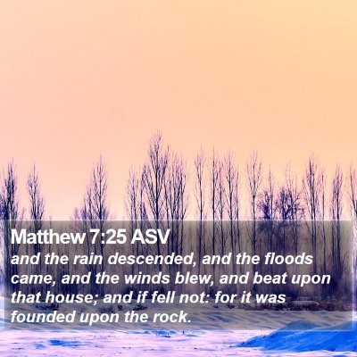 Matthew 7:25 ASV Bible Verse Image