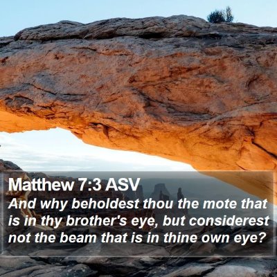 Matthew 7:3 ASV Bible Verse Image