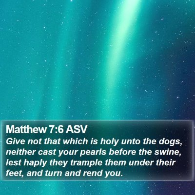 Matthew 7:6 ASV Bible Verse Image