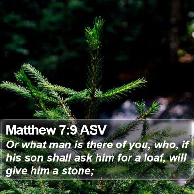 Matthew 7:9 ASV Bible Verse Image