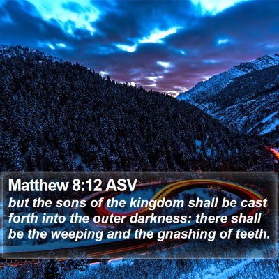 Matthew 8:12 ASV Bible Verse Image