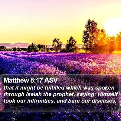 Matthew 8:17 ASV Bible Verse Image