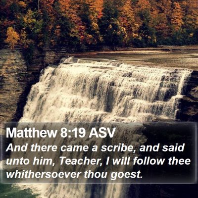 Matthew 8:19 ASV Bible Verse Image
