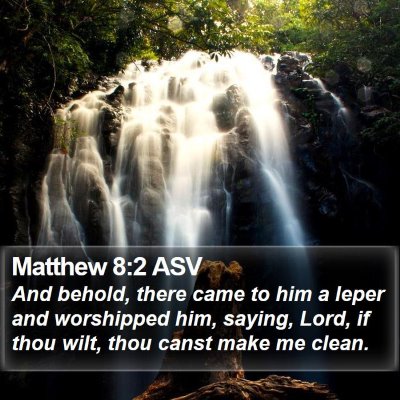Matthew 8:2 ASV Bible Verse Image