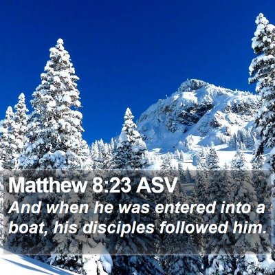 Matthew 8:23 ASV Bible Verse Image