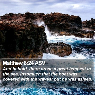 Matthew 8:24 ASV Bible Verse Image