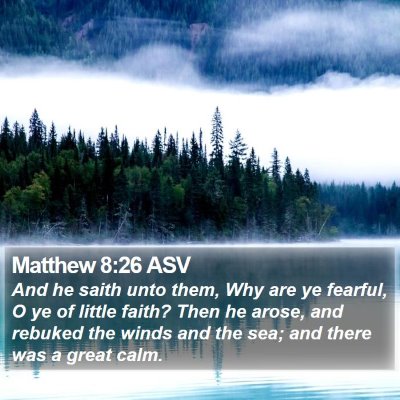 Matthew 8:26 ASV Bible Verse Image