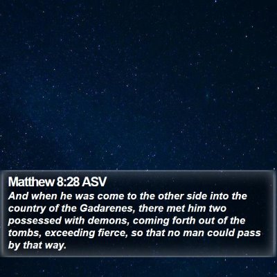 Matthew 8:28 ASV Bible Verse Image