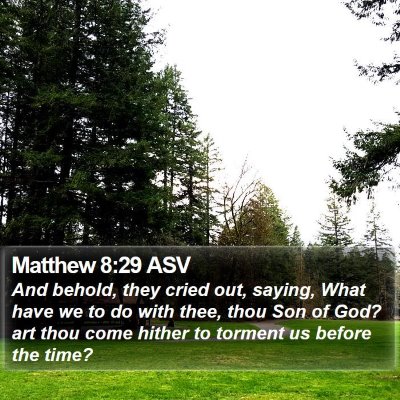 Matthew 8:29 ASV Bible Verse Image