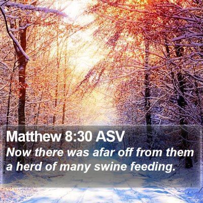 Matthew 8:30 ASV Bible Verse Image