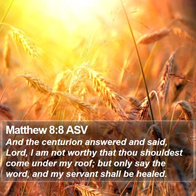 Matthew 8:8 ASV Bible Verse Image