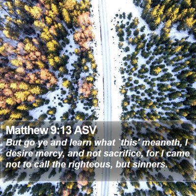 Matthew 9:13 ASV Bible Verse Image