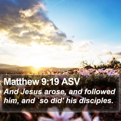 Matthew 9:19 ASV Bible Verse Image