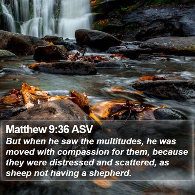 Matthew 9:36 ASV Bible Verse Image