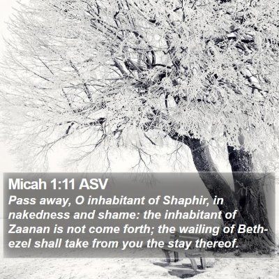 Micah 1:11 ASV Bible Verse Image