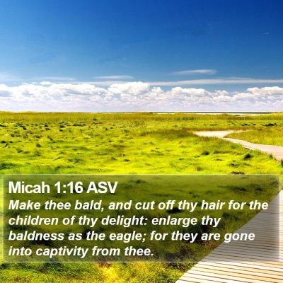 Micah 1:16 ASV Bible Verse Image