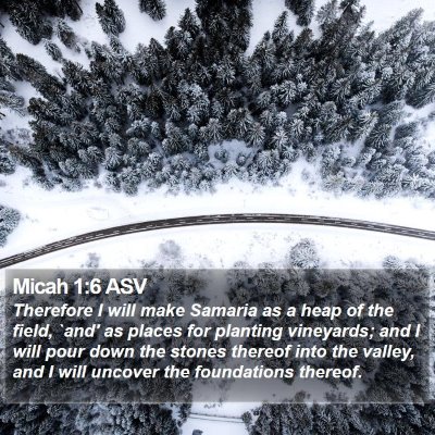 Micah 1:6 ASV Bible Verse Image