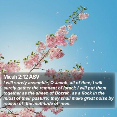 Micah 2:12 ASV Bible Verse Image