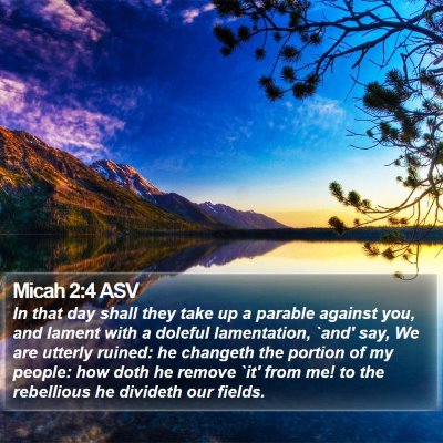 Micah 2:4 ASV Bible Verse Image