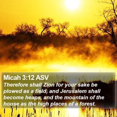 Micah 3:12 ASV Bible Verse Image