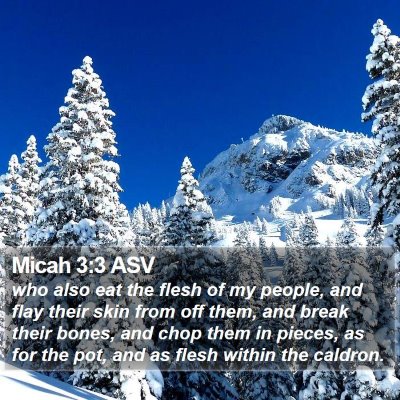 Micah 3:3 ASV Bible Verse Image