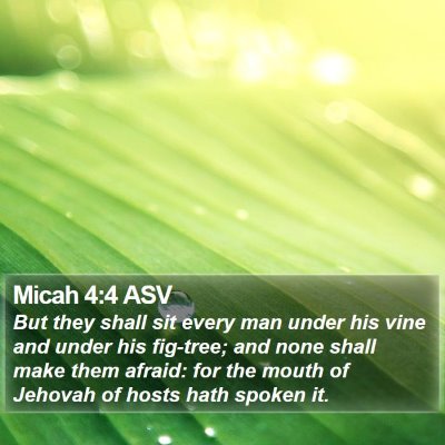 Micah 4:4 ASV Bible Verse Image