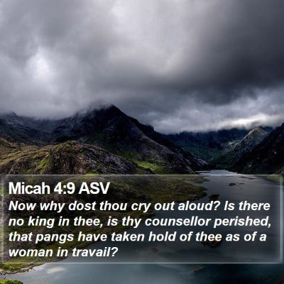 Micah 4:9 ASV Bible Verse Image