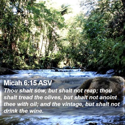Micah 6:15 ASV Bible Verse Image