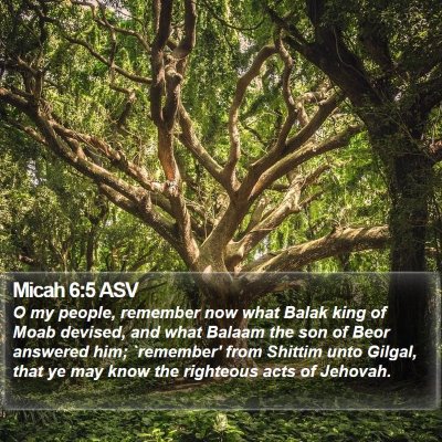 Micah 6:5 ASV Bible Verse Image