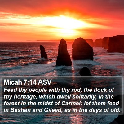 Micah 7:14 ASV Bible Verse Image