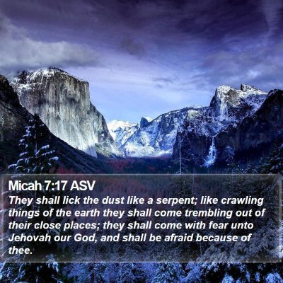 Micah 7:17 ASV Bible Verse Image
