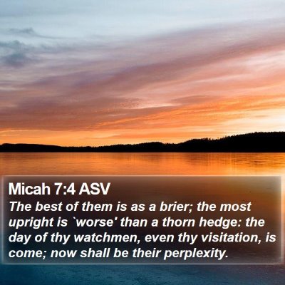 Micah 7:4 ASV Bible Verse Image