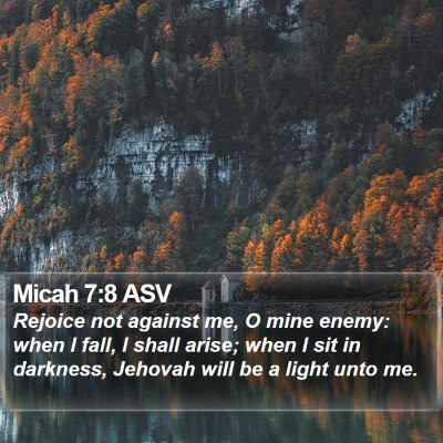 Micah 7:8 ASV Bible Verse Image