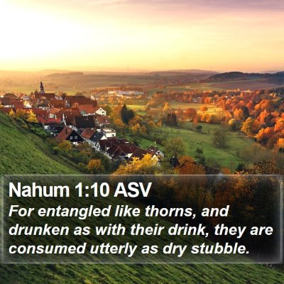 Nahum 1:10 ASV Bible Verse Image