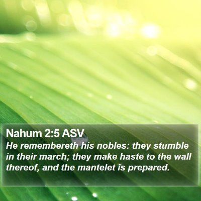 Nahum 2:5 ASV Bible Verse Image