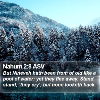 Nahum 2:8 ASV Bible Verse Image
