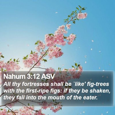 Nahum 3:12 ASV Bible Verse Image