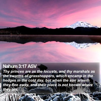 Nahum 3:17 ASV Bible Verse Image