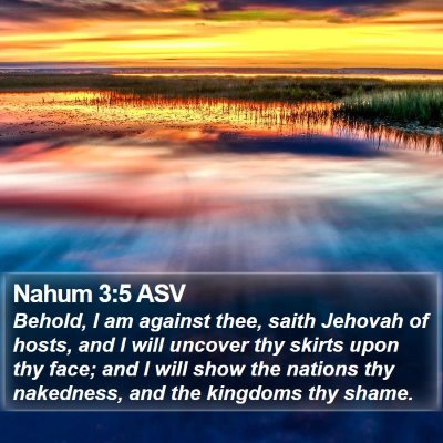 Nahum 3:5 ASV Bible Verse Image