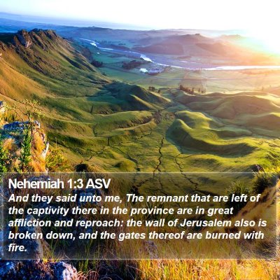 Nehemiah 1:3 ASV Bible Verse Image
