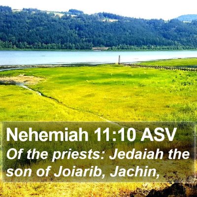 Nehemiah 11:10 ASV Bible Verse Image