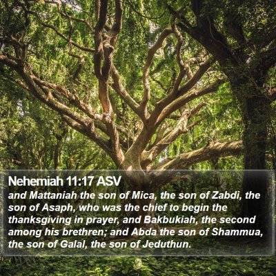 Nehemiah 11:17 ASV Bible Verse Image