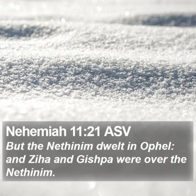 Nehemiah 11:21 ASV Bible Verse Image